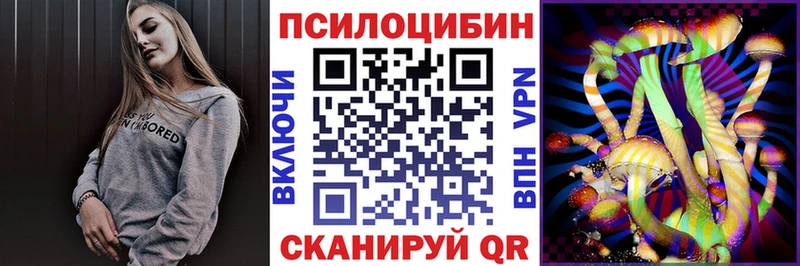 Галлюциногенные грибы мицелий  купить   Славгород 