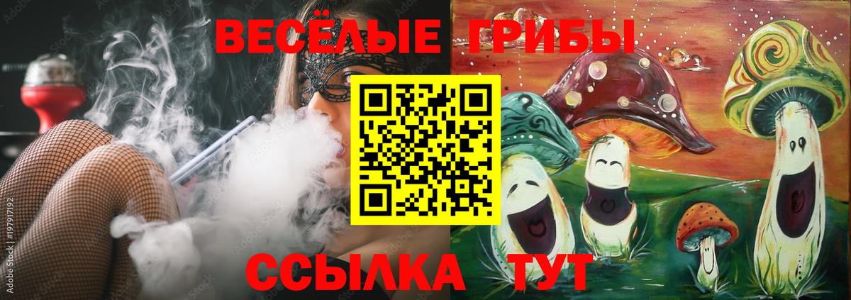Псилоцибиновые грибы Psilocybe Славгород